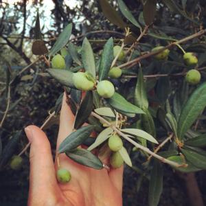 10616087_10101102686349721_386714714763772721_n