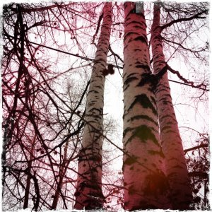 402547_10100176829424421_2101557106_n